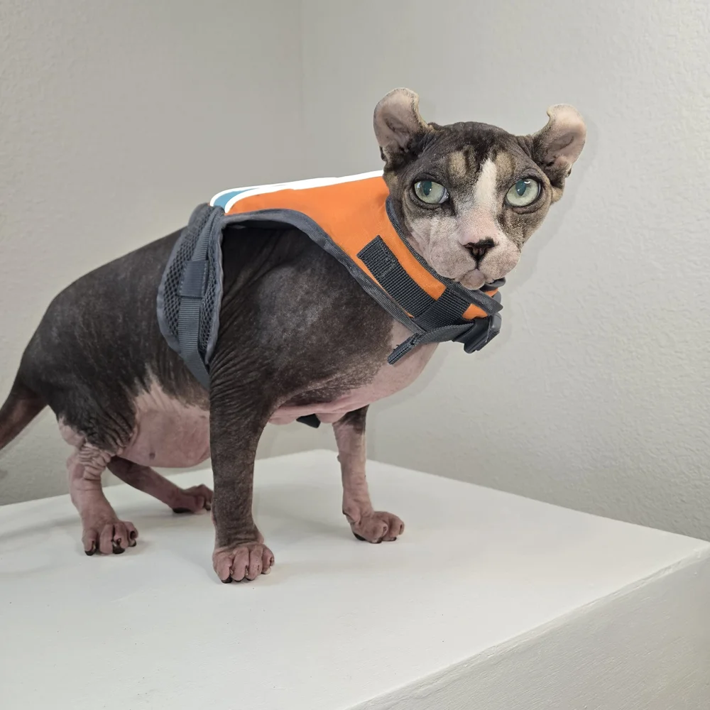 Orange and Blue Cat Life Jacket